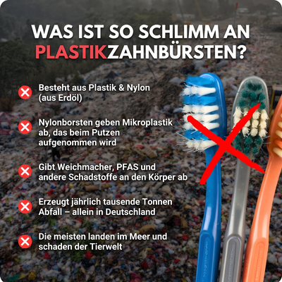 BAMBURA Pferdeborsten & Bambus Zahnbürste (4 SET)