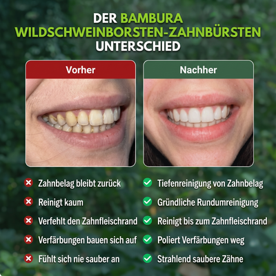 BAMBURA Pferde Borsten &amp; Bambus Elektrische Zahnbürste