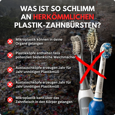BAMBURA Pferde Borsten &amp; Bambus Elektrische Zahnbürste